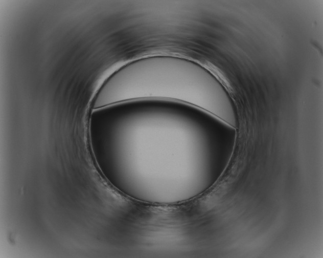 X0000091970854200709061130