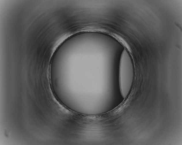 X0000091970855200709061130