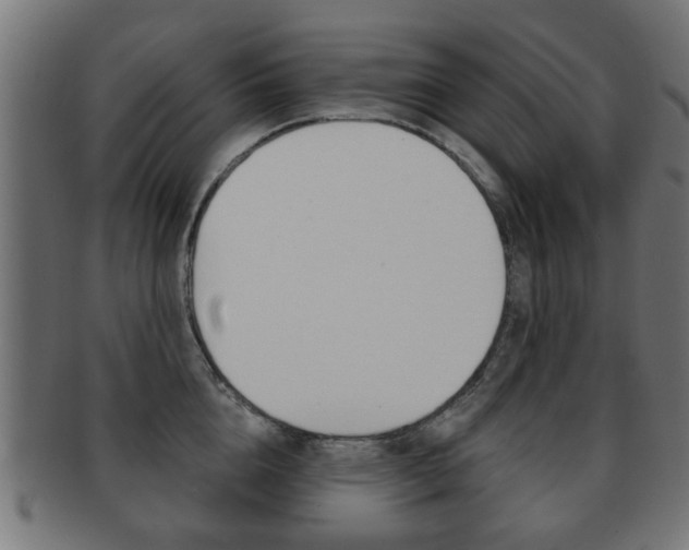 X0000091970856200709061130