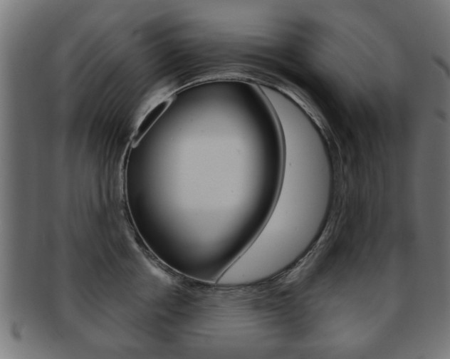 X0000091970858200709061130