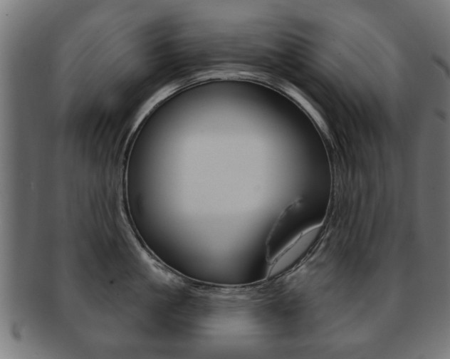 X0000091970861200709061130