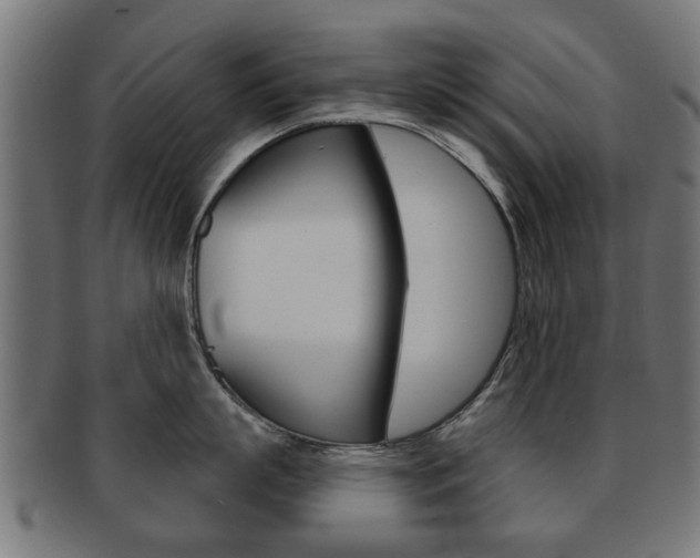X0000091970863200709061130