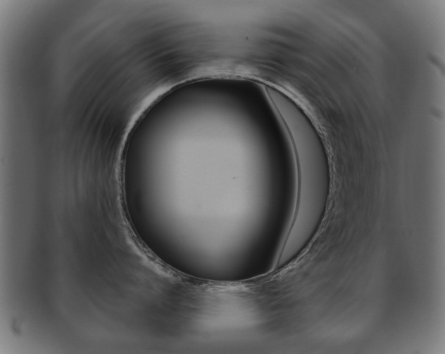 X0000091970864200709061130