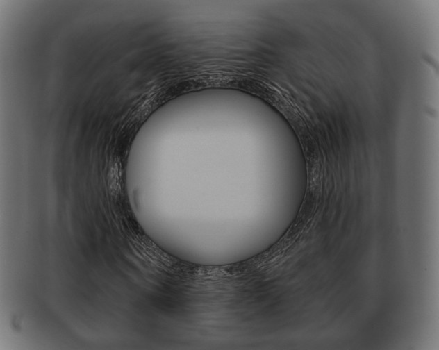 X0000091970866200709061130