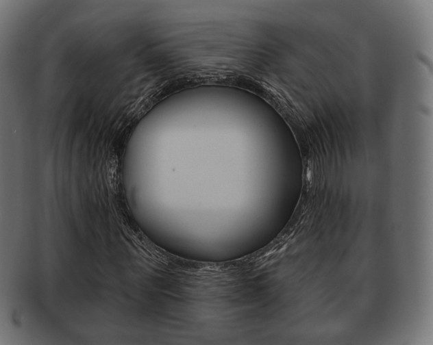 X0000091970867200709061130
