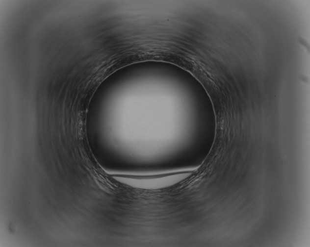 X0000091970868200709061130