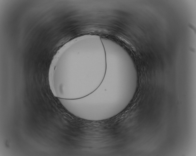 X0000091970869200709061130