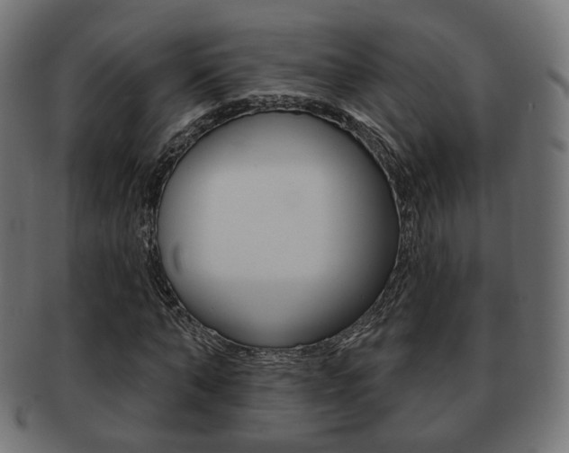 X0000091970870200709061130