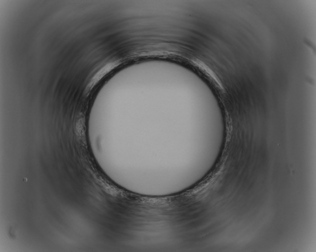 X0000091970874200709061130