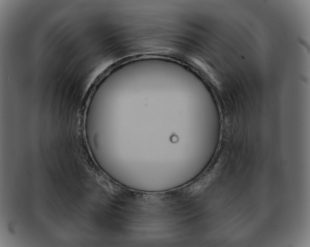X0000091970875200709061130