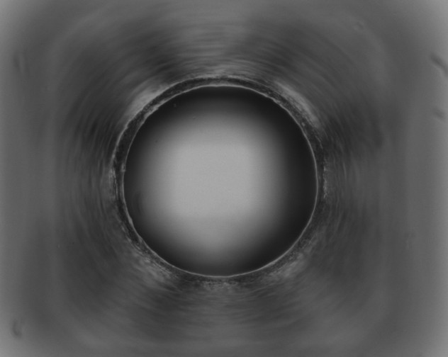 X0000091970876200709061130