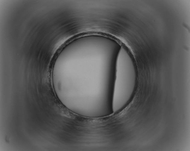 X0000091970879200709061130