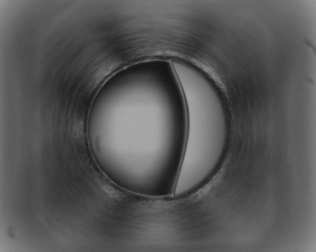 X0000091970881200709061130