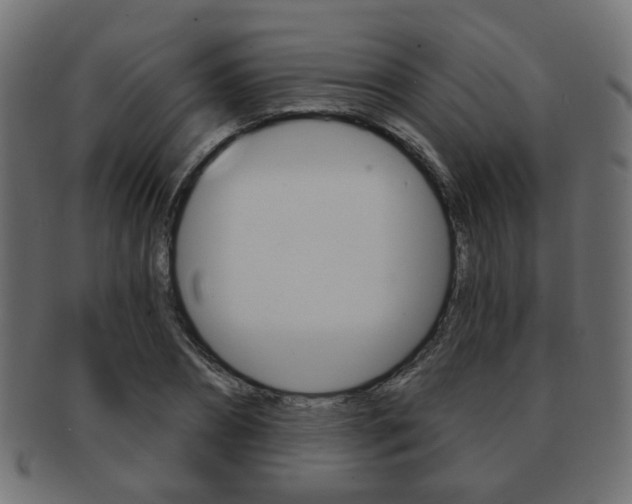 X0000091970882200709061130
