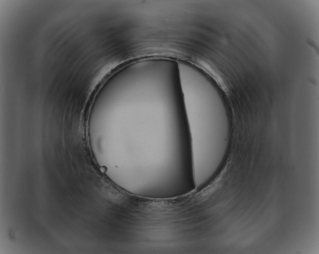 X0000091970883200709061130