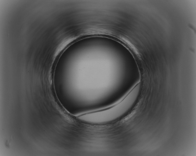 X0000091970885200709061129