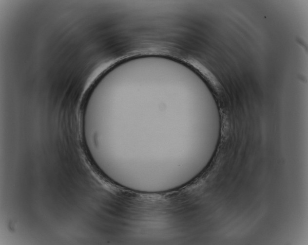 X0000091970886200709061129