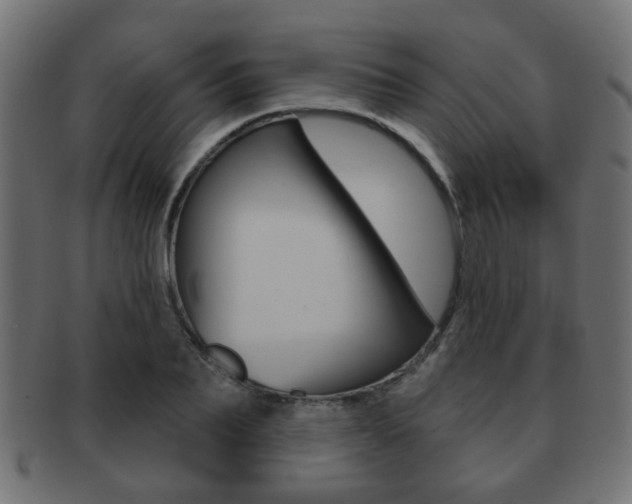 X0000091970887200709061129