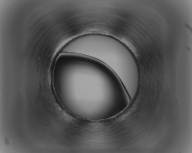 X0000091970888200709061129