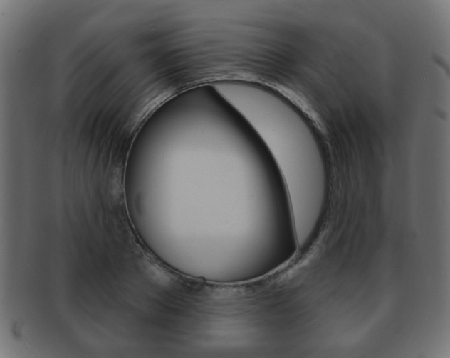 X0000091970889200709061129