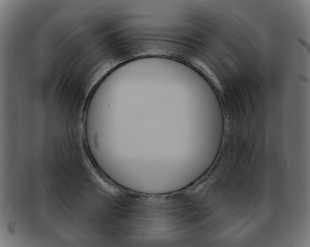 X0000091970890200709061129