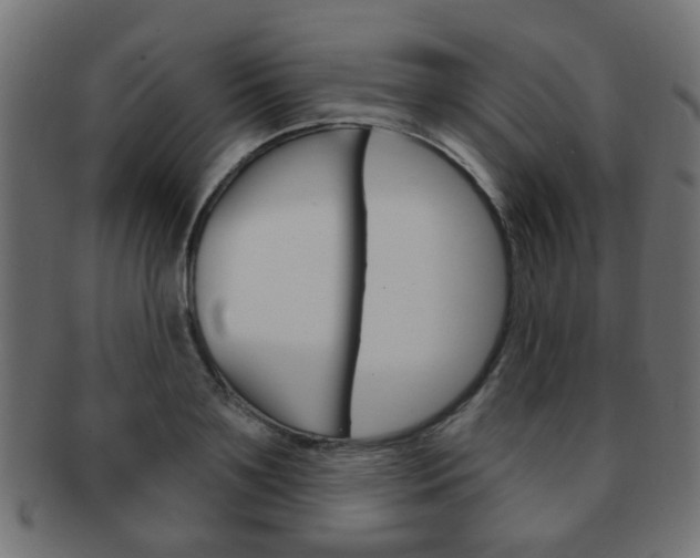 X0000091970891200709061129