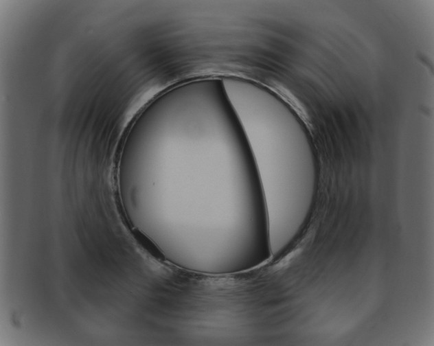 X0000091970893200709061129