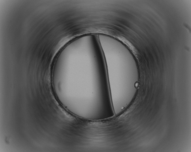 X0000091970894200709061129