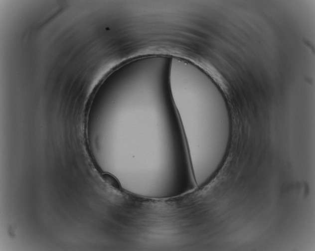 X0000091970896200709061129