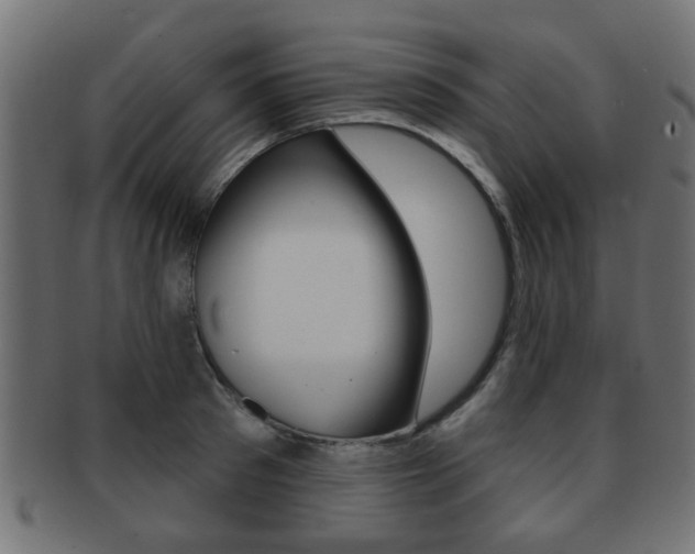 X0000091970897200709061129