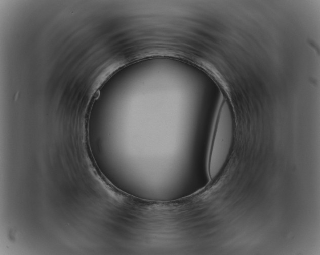 X0000091970898200709061129