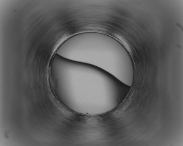 X0000091970899200709061129