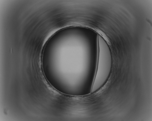 X0000091970904200709061129