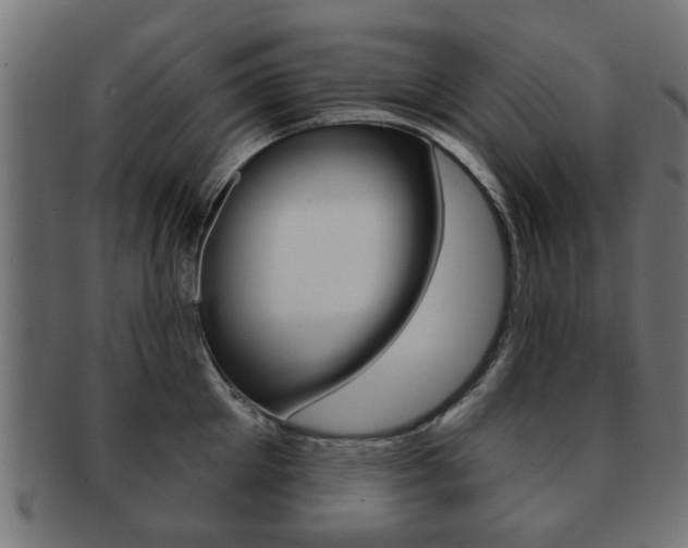X0000091970905200709061129