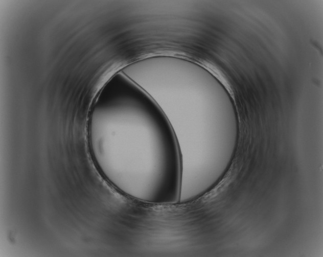 X0000091970906200709061129