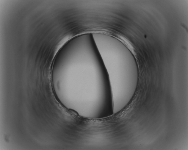 X0000091970907200709061129