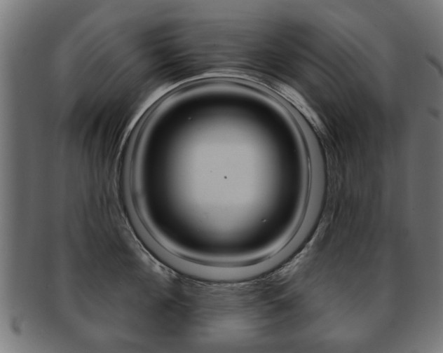 X0000091970908200709061129