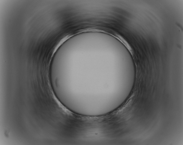 X0000091970909200709061129