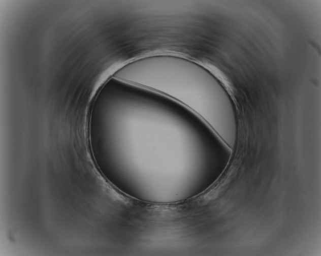 X0000091970910200709061129