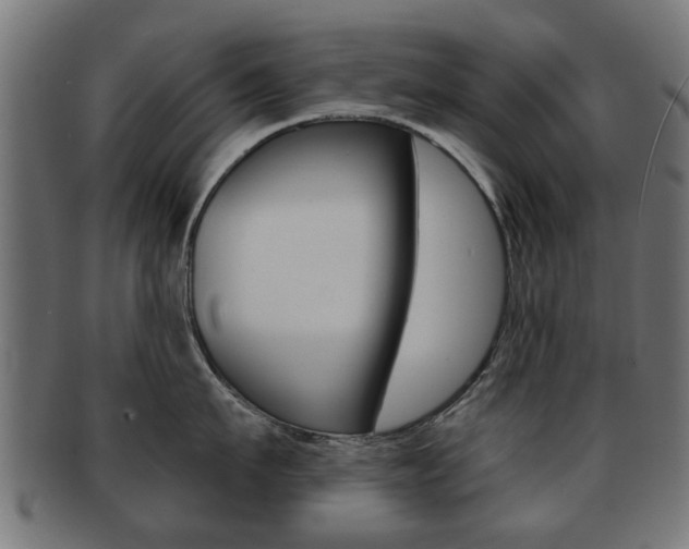 X0000091970911200709061129