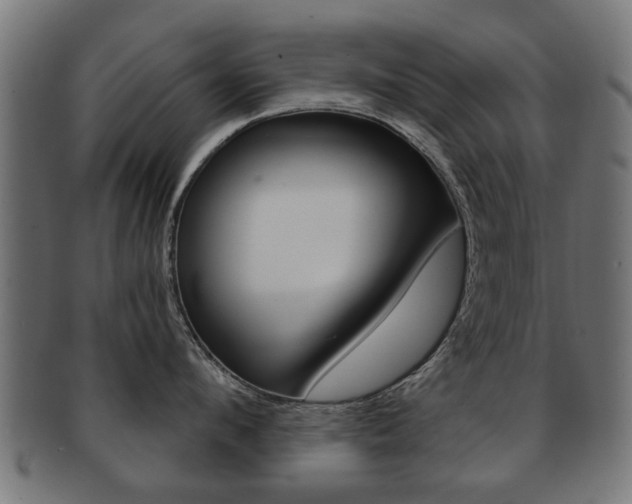 X0000091970912200709061129