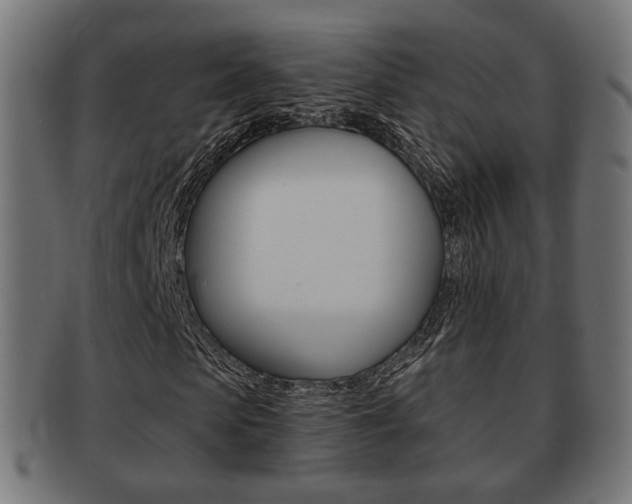 X0000091970913200709061128