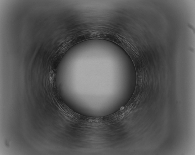 X0000091970914200709061128