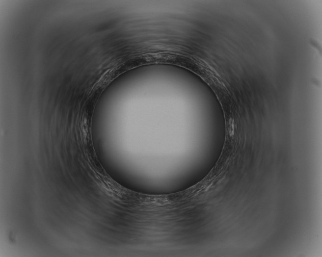X0000091970915200709061128