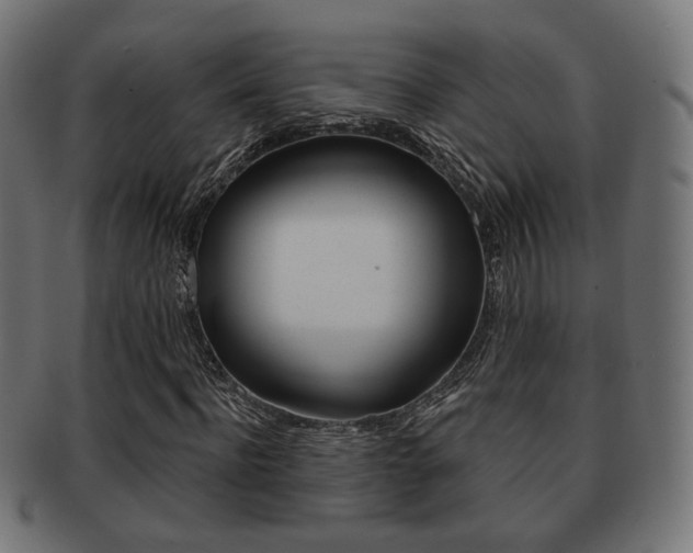 X0000091970916200709061128