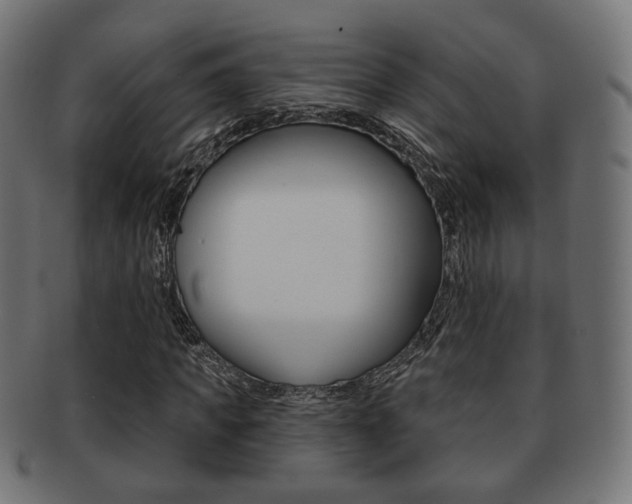 X0000091970917200709061128