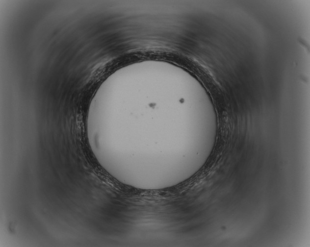 X0000091970918200709061128