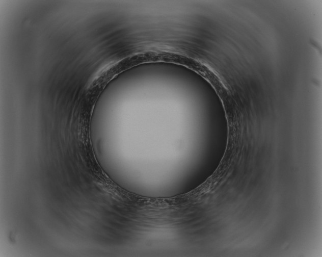 X0000091970919200709061129