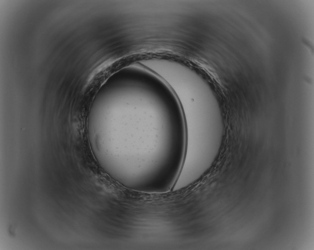X0000091970920200709061129