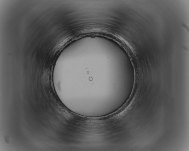 X0000091970921200709061129
